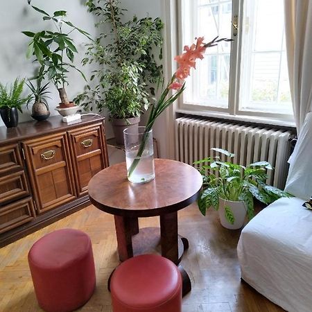 Monica'S House Pansiyon Belgrad Dış mekan fotoğraf