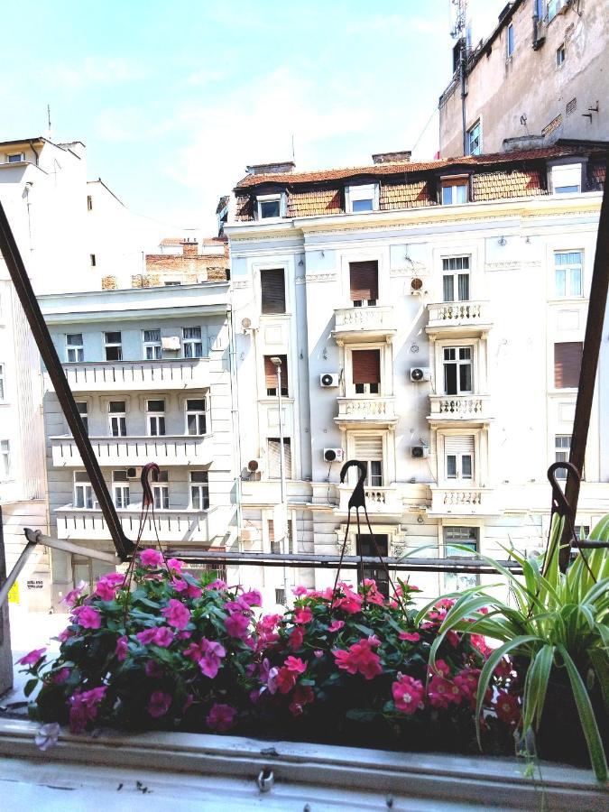 Monica'S House Pansiyon Belgrad Dış mekan fotoğraf