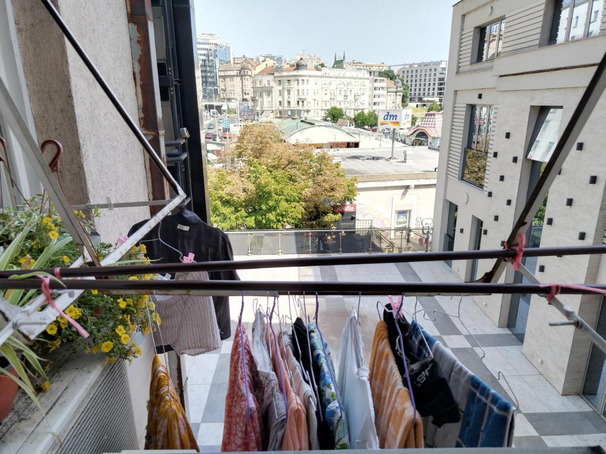Monica'S House Pansiyon Belgrad Dış mekan fotoğraf
