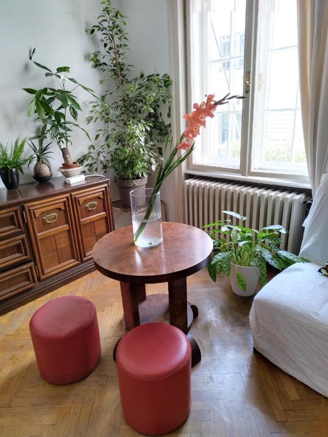 Monica'S House Pansiyon Belgrad Dış mekan fotoğraf