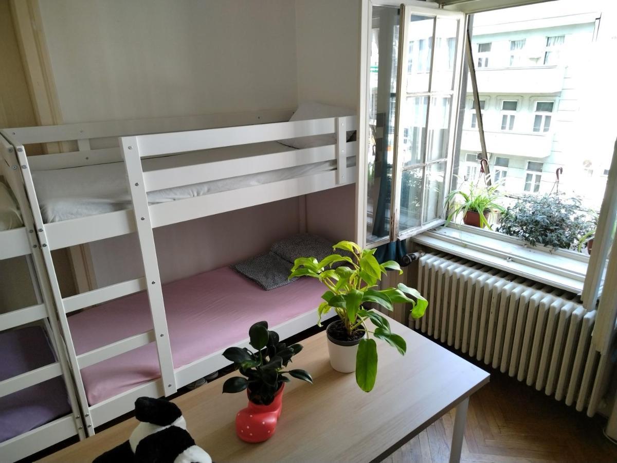 Monica'S House Pansiyon Belgrad Dış mekan fotoğraf