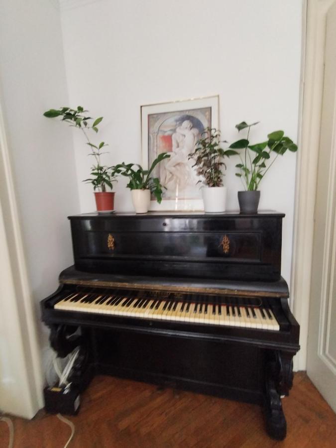 Monica'S House Pansiyon Belgrad Dış mekan fotoğraf